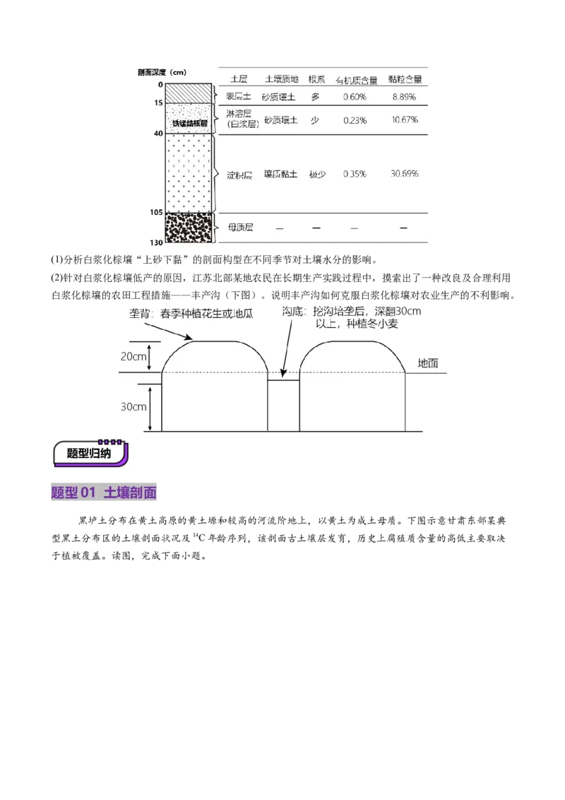 第16讲植被和土壤（讲义）（原卷版）_9.2025地理总复习_2025年新高考资料_一轮复习_2025年高考地理一轮复习讲练测（新教材新高考）