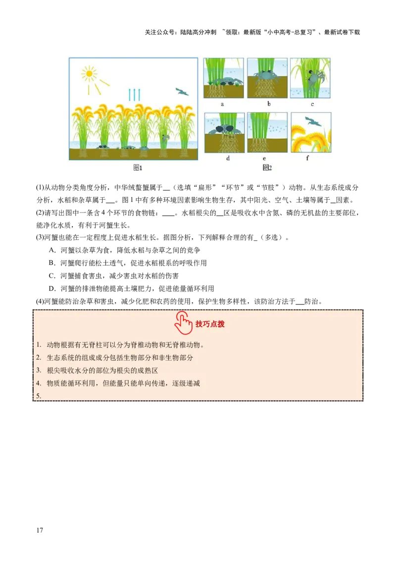 题型04热点情景（讲练）（原卷版）_02中考总复习（2026版更新中）_08-生物-中考总复习_2025中考复习资料_2025中考二轮课件ppt+讲义+练习生物_讲义+练习