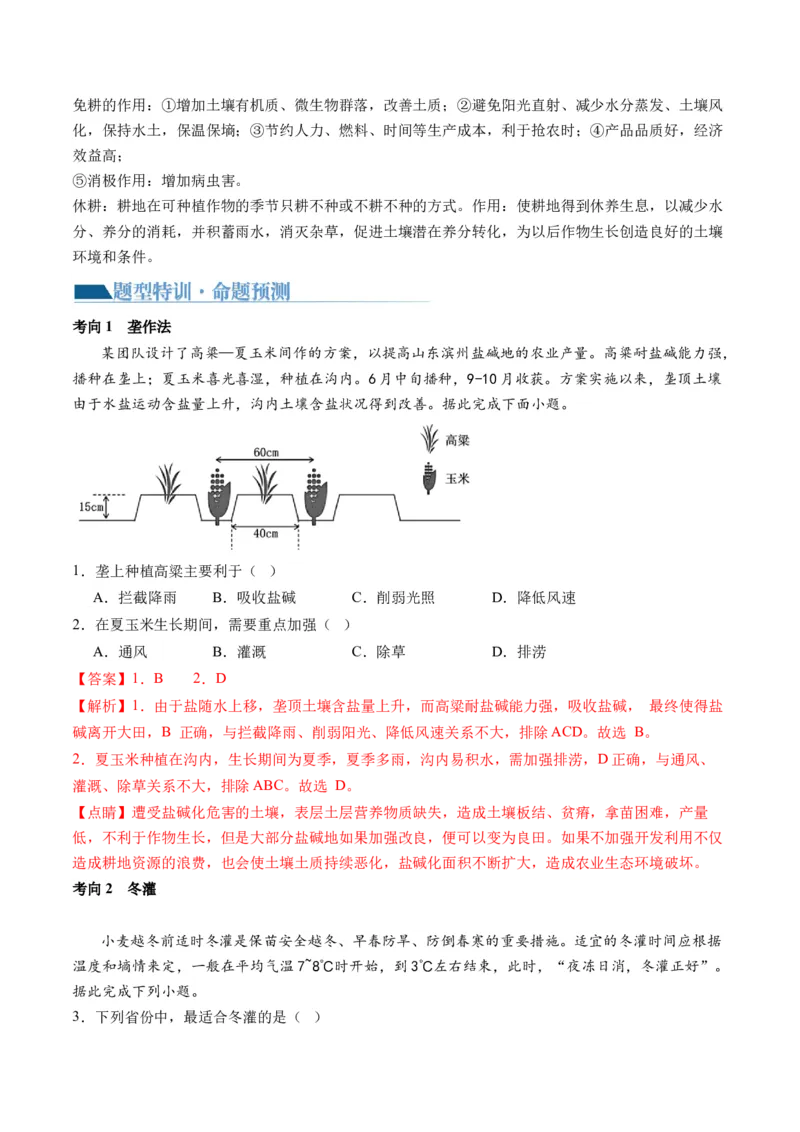 微专题农业技术、市场竞争力、新型服务业（讲义）（解析版）_9.2025地理总复习_2024年新高考资料_2.2024二轮复习_2024年高考地理二轮复习讲练测（新教材新高考）_微专题