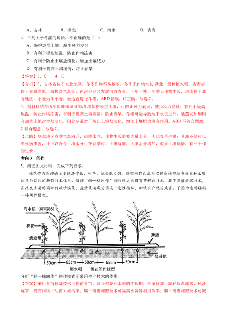 微专题农业技术、市场竞争力、新型服务业（讲义）（解析版）_9.2025地理总复习_2024年新高考资料_2.2024二轮复习_2024年高考地理二轮复习讲练测（新教材新高考）_微专题