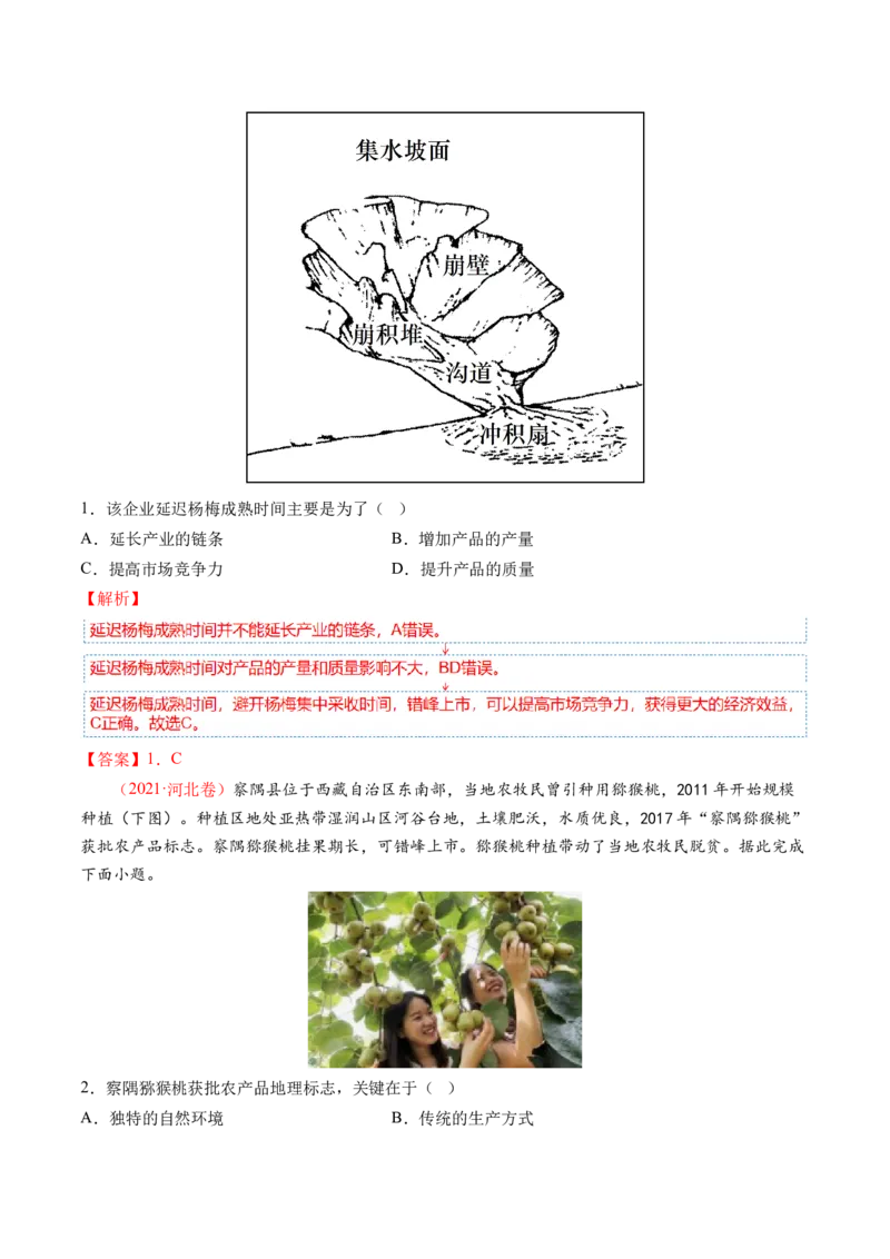 微专题农业技术、市场竞争力、新型服务业（讲义）（解析版）_9.2025地理总复习_2024年新高考资料_2.2024二轮复习_2024年高考地理二轮复习讲练测（新教材新高考）_微专题