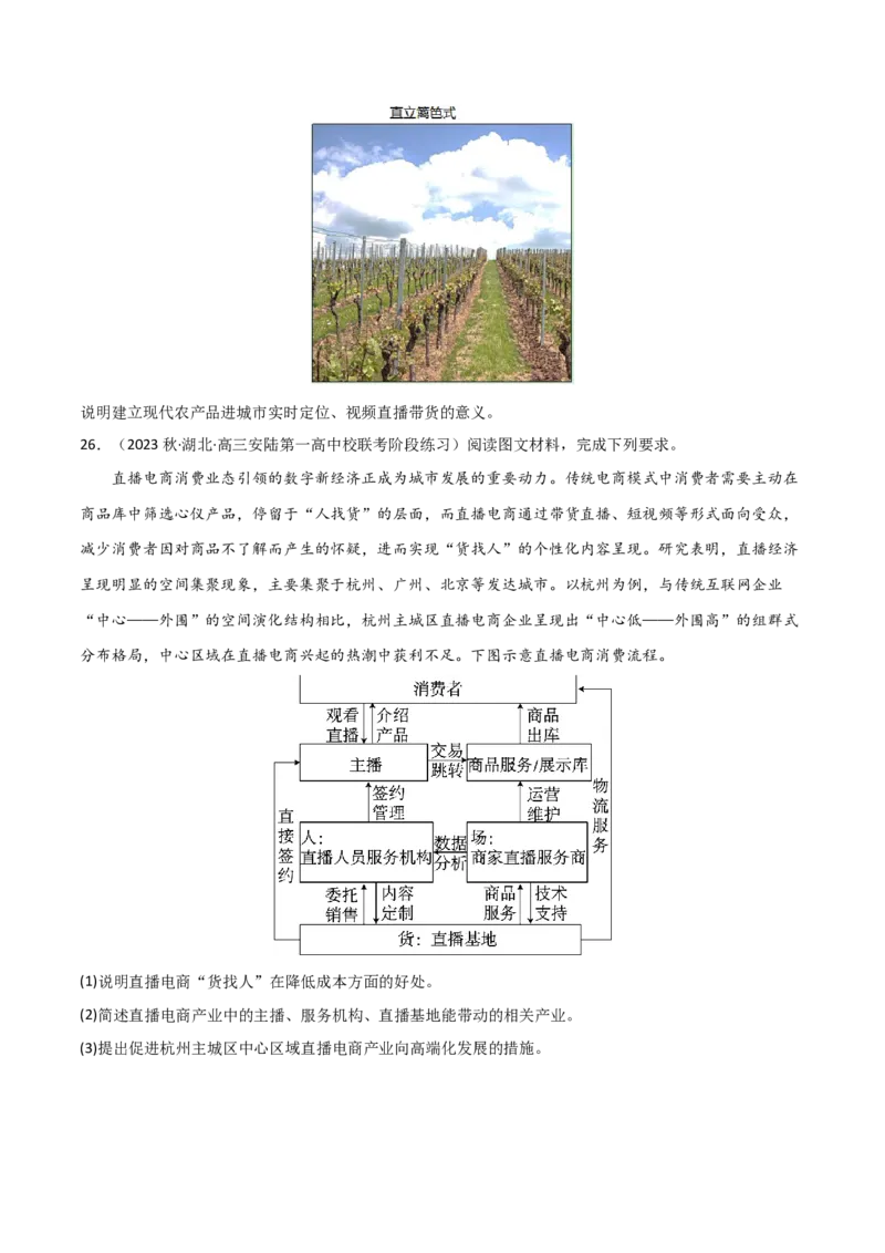热点专项11（二）直播带货与电商-2024年高考地理一轮复习考点通关卷（新高考通用）（原卷版）_9.2025地理总复习_2024年新高考资料_1.2024一轮复习