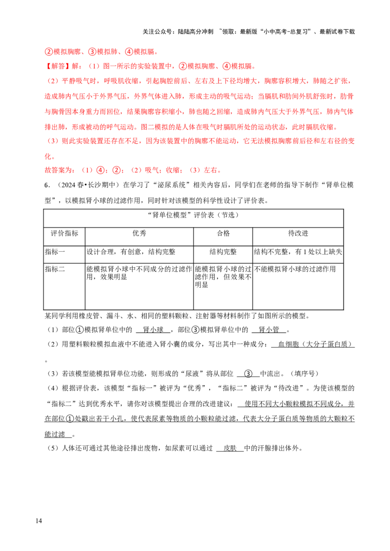 题型突破六跨学科与模型制作（解析版）_02中考总复习（2026版更新中）_08-生物-中考总复习_2024年中考复习资料_三轮复习_查漏补缺2024年中考生物复习冲刺过关（全国通用）