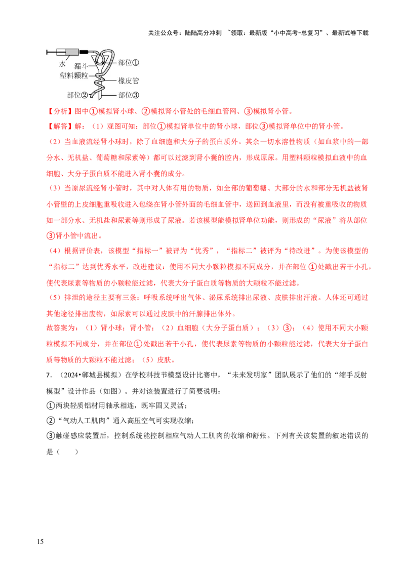 题型突破六跨学科与模型制作（解析版）_02中考总复习（2026版更新中）_08-生物-中考总复习_2024年中考复习资料_三轮复习_查漏补缺2024年中考生物复习冲刺过关（全国通用）