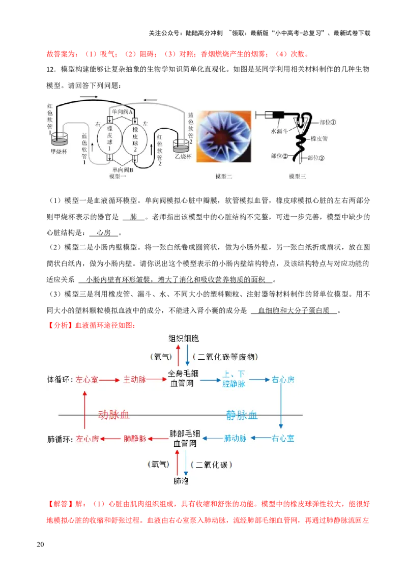 题型突破六跨学科与模型制作（解析版）_02中考总复习（2026版更新中）_08-生物-中考总复习_2024年中考复习资料_三轮复习_查漏补缺2024年中考生物复习冲刺过关（全国通用）