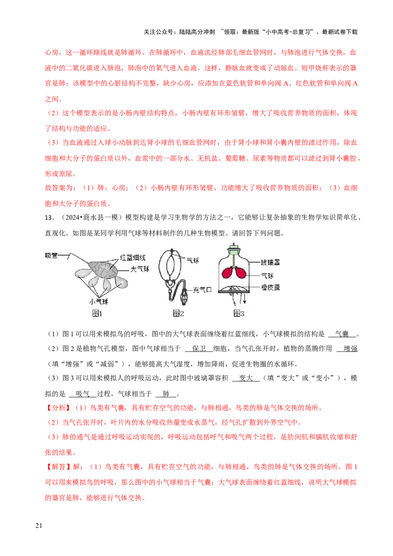 题型突破六跨学科与模型制作（解析版）_02中考总复习（2026版更新中）_08-生物-中考总复习_2024年中考复习资料_三轮复习_查漏补缺2024年中考生物复习冲刺过关（全国通用）