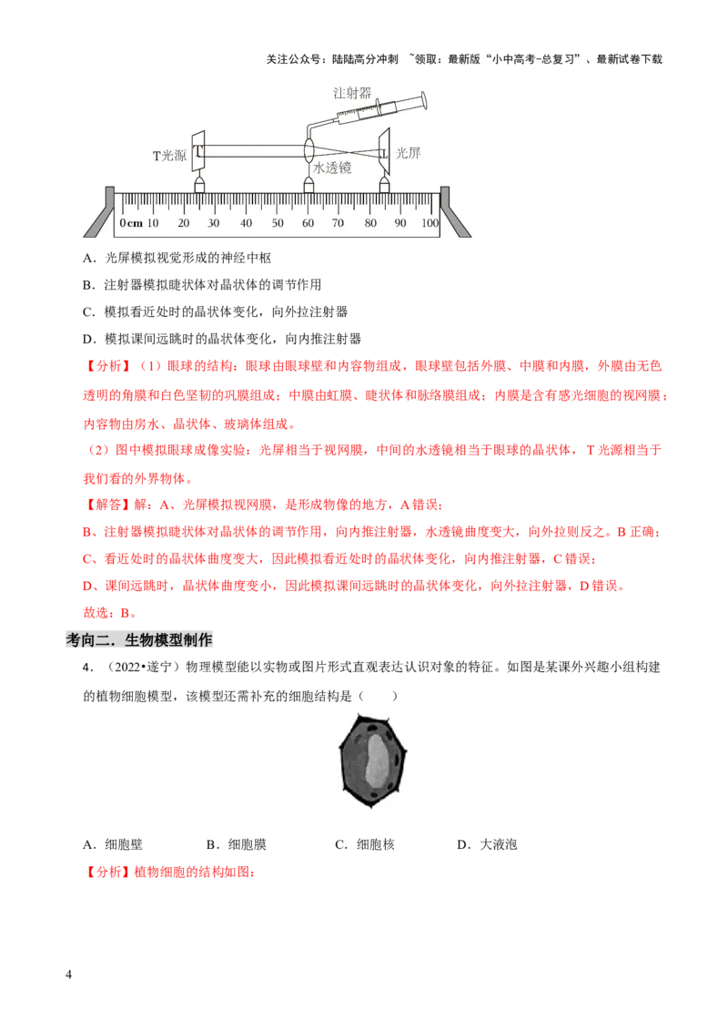 题型突破六跨学科与模型制作（解析版）_02中考总复习（2026版更新中）_08-生物-中考总复习_2024年中考复习资料_三轮复习_查漏补缺2024年中考生物复习冲刺过关（全国通用）