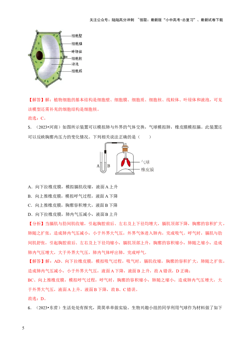 题型突破六跨学科与模型制作（解析版）_02中考总复习（2026版更新中）_08-生物-中考总复习_2024年中考复习资料_三轮复习_查漏补缺2024年中考生物复习冲刺过关（全国通用）