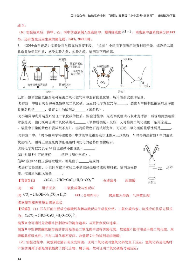 题型06科学探究题（解析版）_02中考总复习（2026版更新中）_05-化学-中考总复习_2025年中考复习资料_备战2025年中考化学真题题源解密