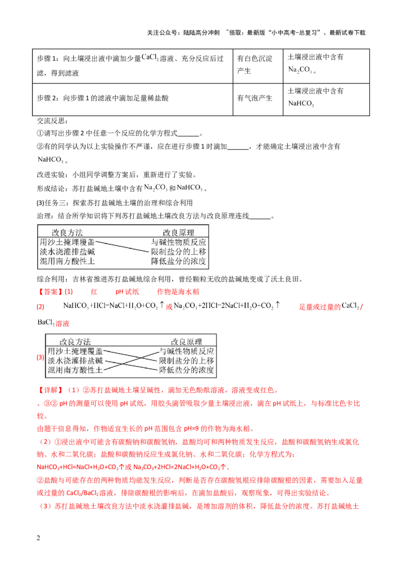 题型06科学探究题（解析版）_02中考总复习（2026版更新中）_05-化学-中考总复习_2025年中考复习资料_备战2025年中考化学真题题源解密