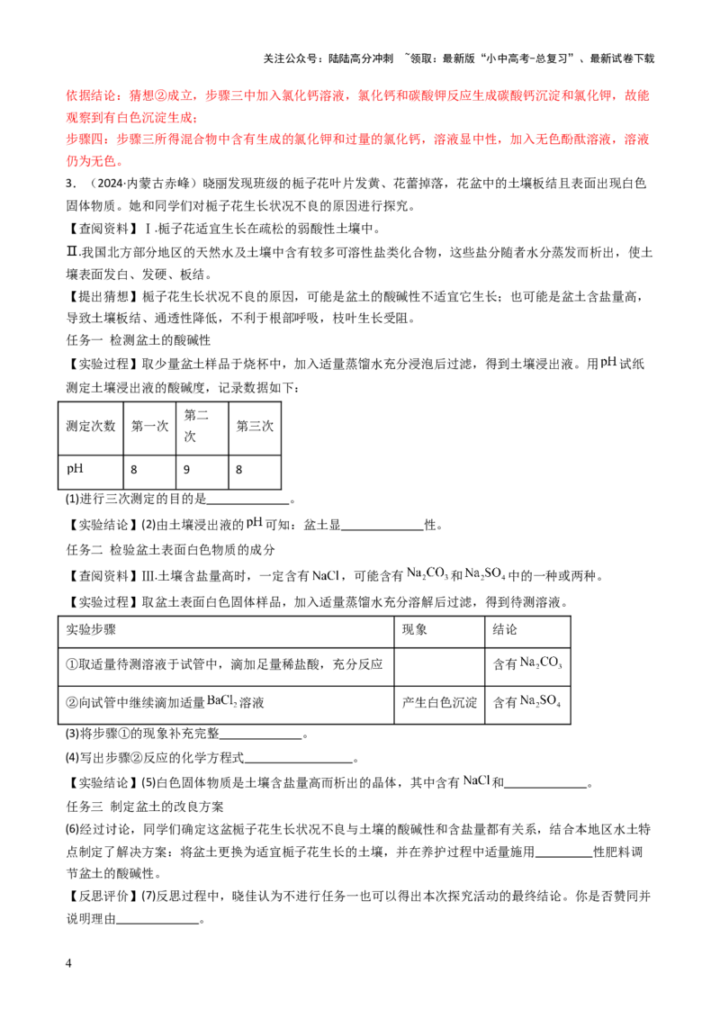题型06科学探究题（解析版）_02中考总复习（2026版更新中）_05-化学-中考总复习_2025年中考复习资料_备战2025年中考化学真题题源解密