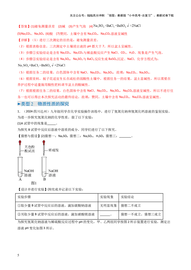 题型06科学探究题（解析版）_02中考总复习（2026版更新中）_05-化学-中考总复习_2025年中考复习资料_备战2025年中考化学真题题源解密