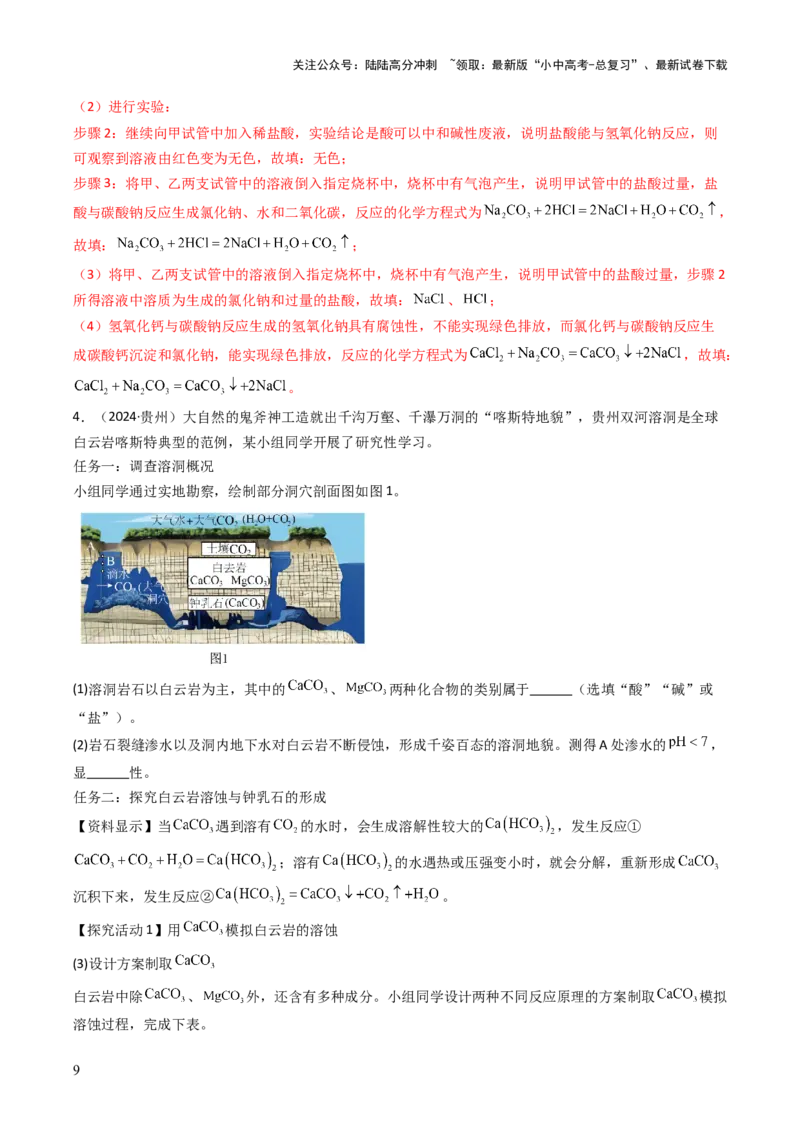 题型06科学探究题（解析版）_02中考总复习（2026版更新中）_05-化学-中考总复习_2025年中考复习资料_备战2025年中考化学真题题源解密