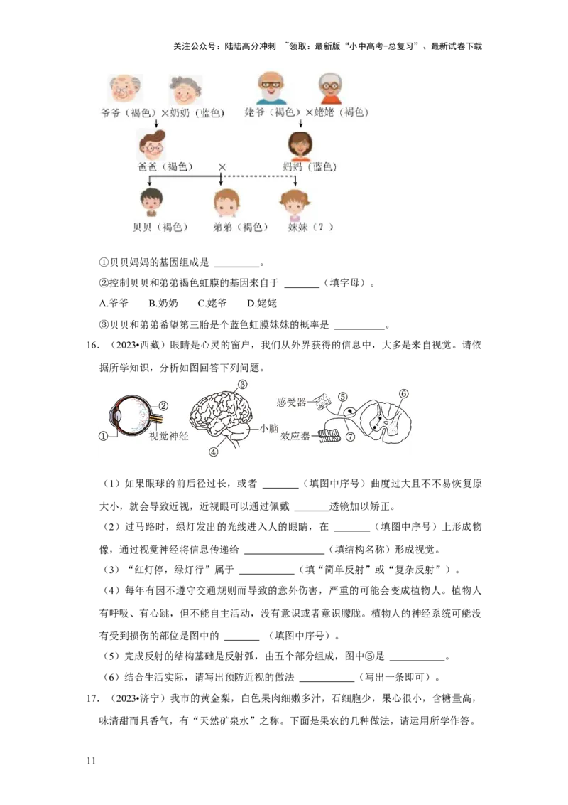 题型02识图填空（原卷版）_02中考总复习（2026版更新中）_08-生物-中考总复习_2024年中考复习资料_专项复习_备战2024年中考生物真题题源解密