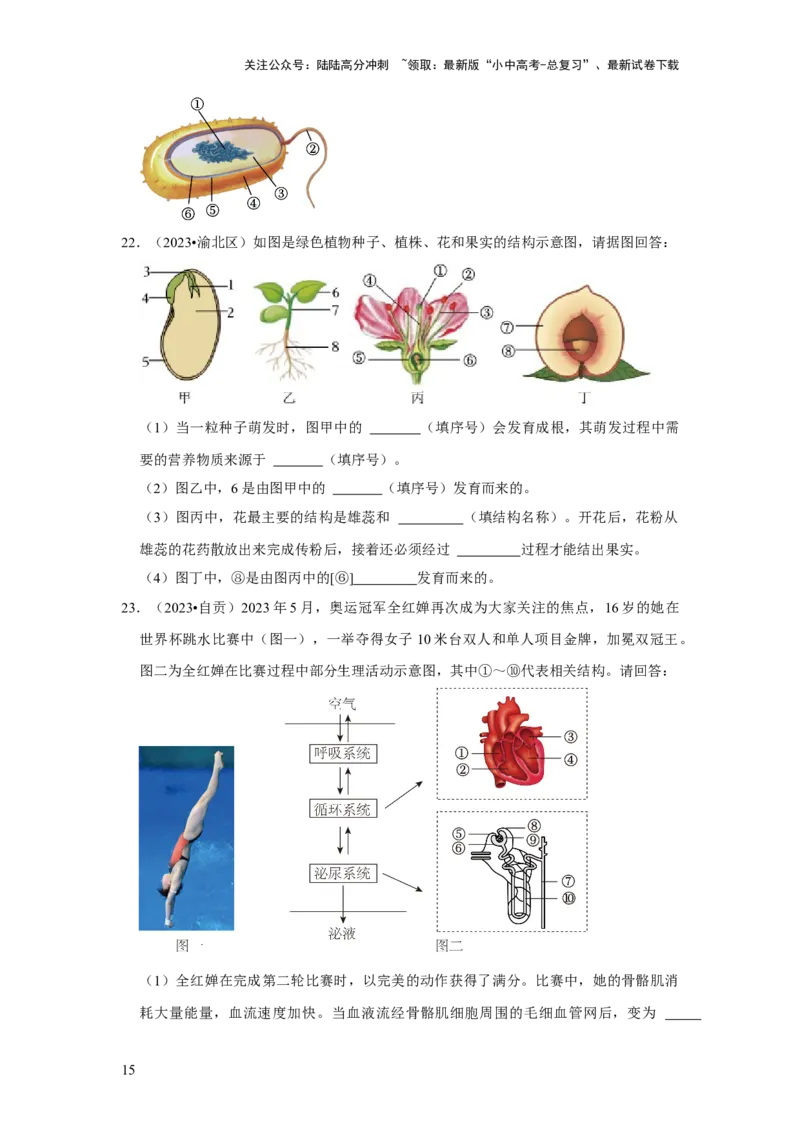 题型02识图填空（原卷版）_02中考总复习（2026版更新中）_08-生物-中考总复习_2024年中考复习资料_专项复习_备战2024年中考生物真题题源解密