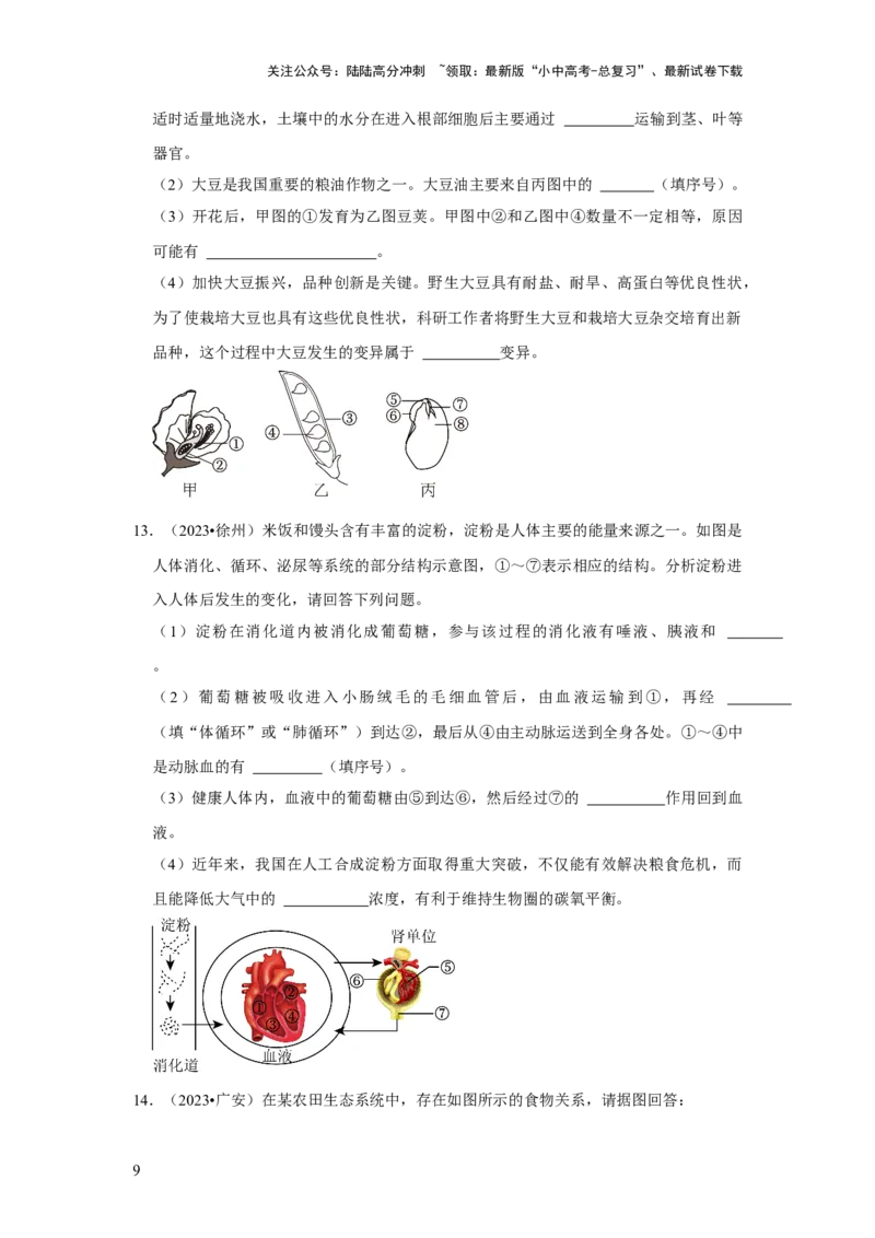 题型02识图填空（原卷版）_02中考总复习（2026版更新中）_08-生物-中考总复习_2024年中考复习资料_专项复习_备战2024年中考生物真题题源解密