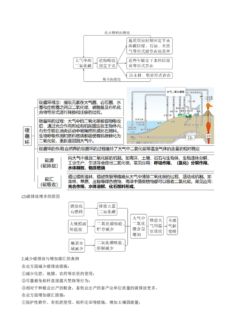 查补知识&middot;通关练专题10资源、环境与国家安全（解析版）_9.2025地理总复习_2024年新高考资料_5.2024三轮冲刺_查漏补缺2024年高考地理复习冲刺过关（新高考通用）