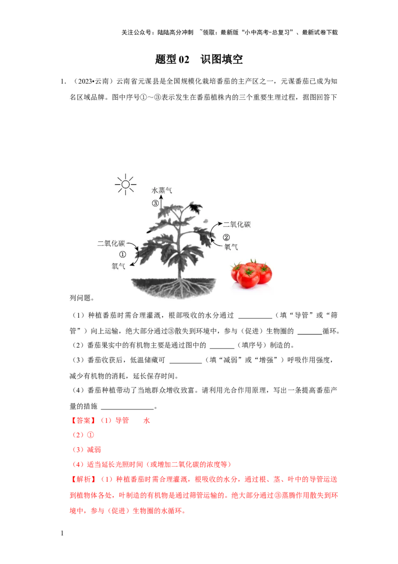 题型02识图填空（解析版）_02中考总复习（2026版更新中）_08-生物-中考总复习_2024年中考复习资料_专项复习_备战2024年中考生物真题题源解密