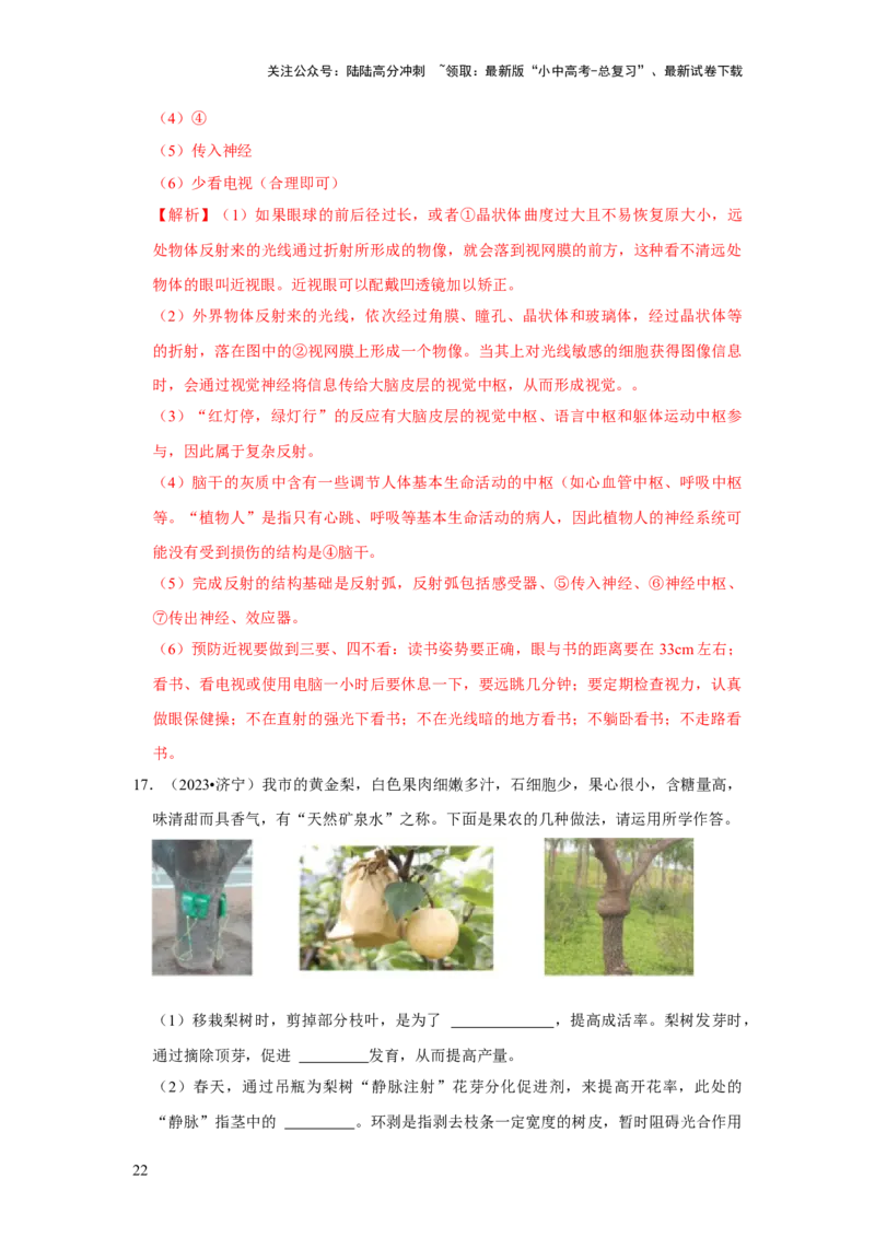 题型02识图填空（解析版）_02中考总复习（2026版更新中）_08-生物-中考总复习_2024年中考复习资料_专项复习_备战2024年中考生物真题题源解密