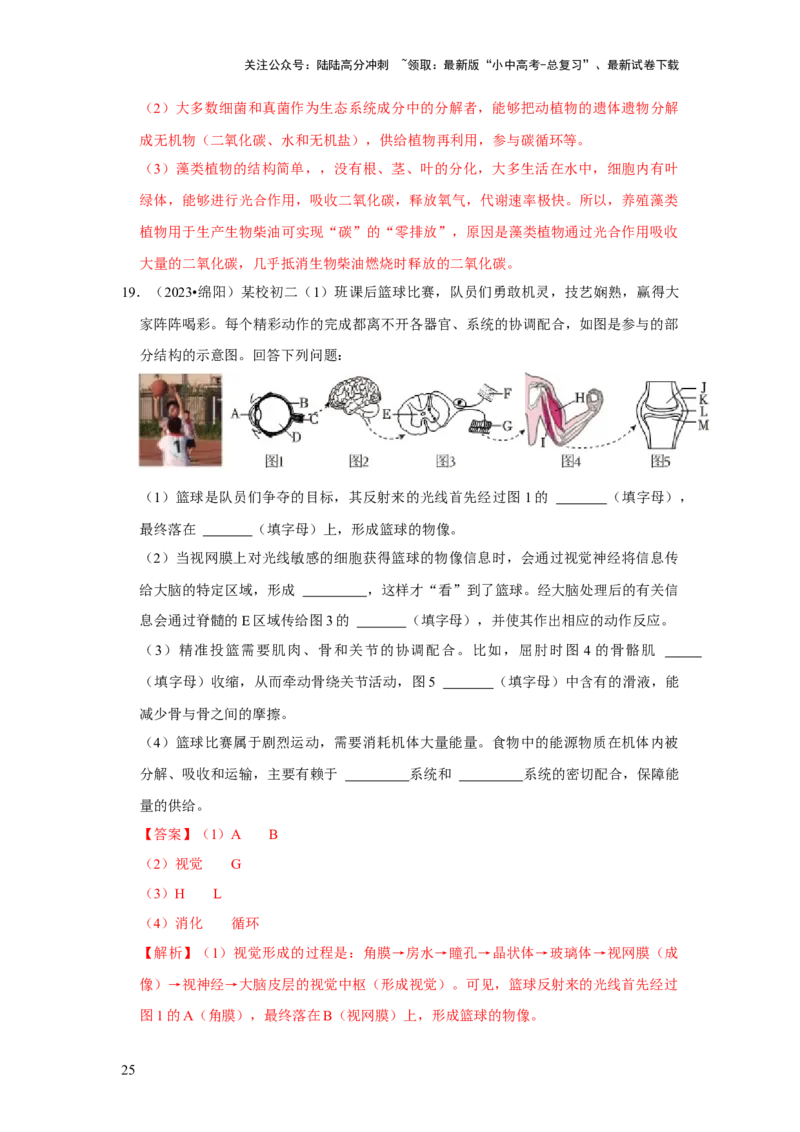 题型02识图填空（解析版）_02中考总复习（2026版更新中）_08-生物-中考总复习_2024年中考复习资料_专项复习_备战2024年中考生物真题题源解密
