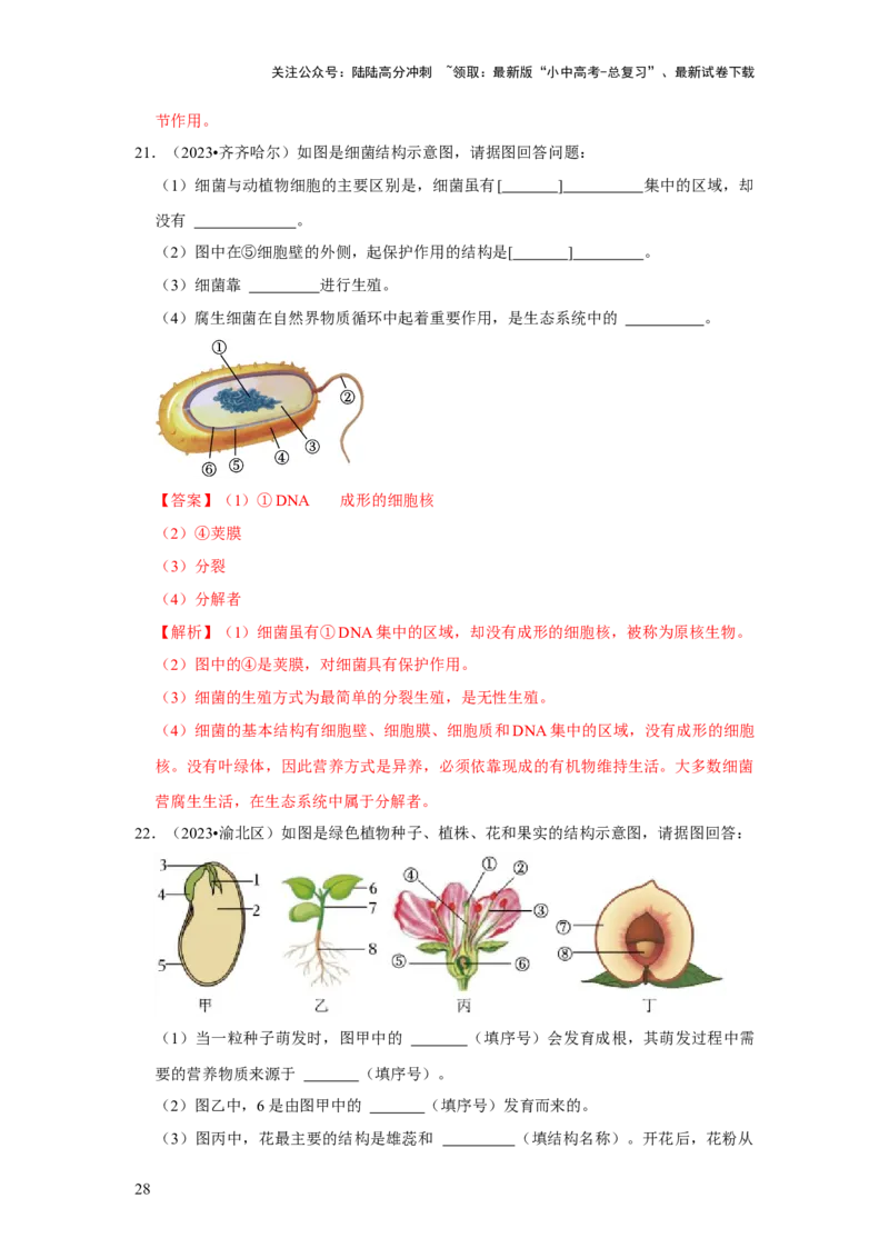 题型02识图填空（解析版）_02中考总复习（2026版更新中）_08-生物-中考总复习_2024年中考复习资料_专项复习_备战2024年中考生物真题题源解密