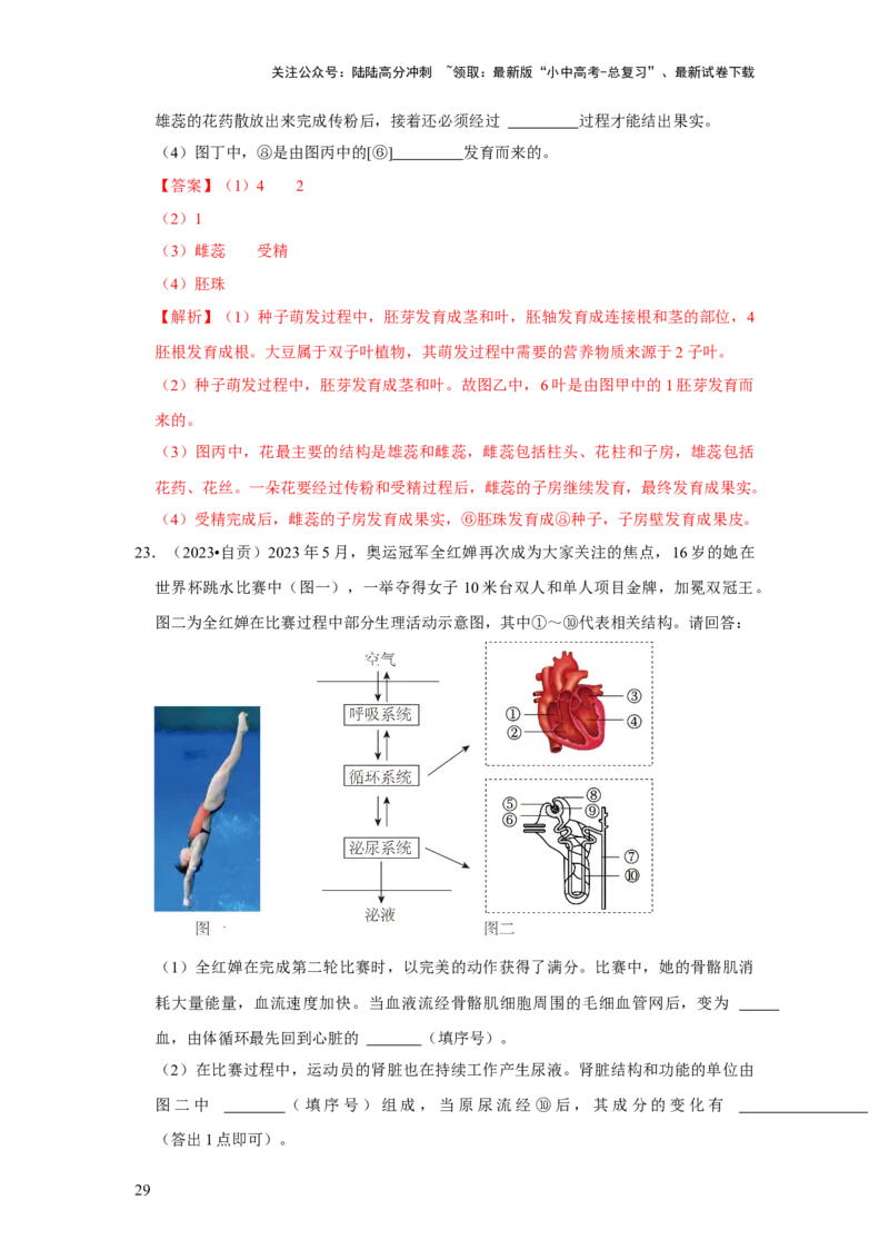 题型02识图填空（解析版）_02中考总复习（2026版更新中）_08-生物-中考总复习_2024年中考复习资料_专项复习_备战2024年中考生物真题题源解密