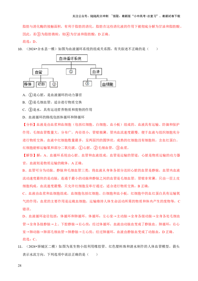 题型突破二过程图作答（解析版）_02中考总复习（2026版更新中）_08-生物-中考总复习_2024年中考复习资料_三轮复习_查漏补缺2024年中考生物复习冲刺过关（全国通用）_查补能力&middot;提升练