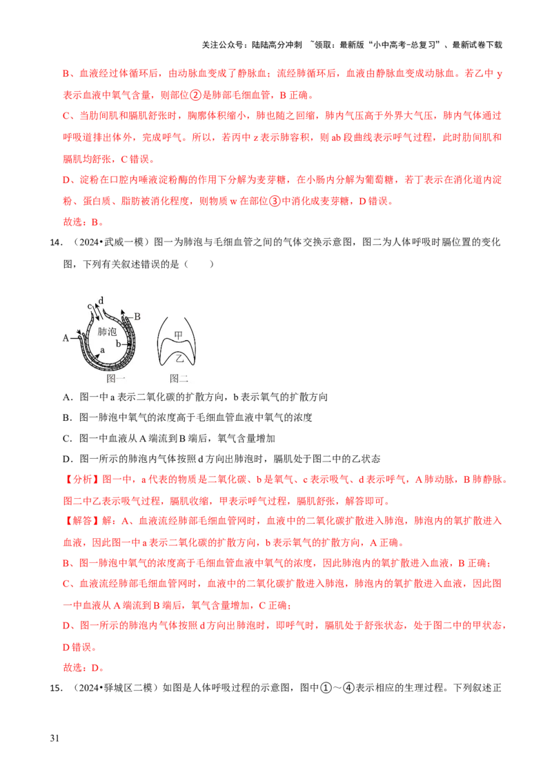 题型突破二过程图作答（解析版）_02中考总复习（2026版更新中）_08-生物-中考总复习_2024年中考复习资料_三轮复习_查漏补缺2024年中考生物复习冲刺过关（全国通用）_查补能力&middot;提升练