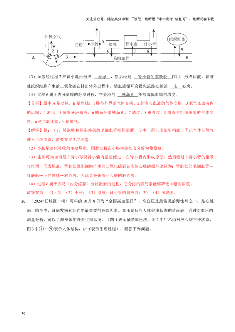 题型突破二过程图作答（解析版）_02中考总复习（2026版更新中）_08-生物-中考总复习_2024年中考复习资料_三轮复习_查漏补缺2024年中考生物复习冲刺过关（全国通用）_查补能力&middot;提升练