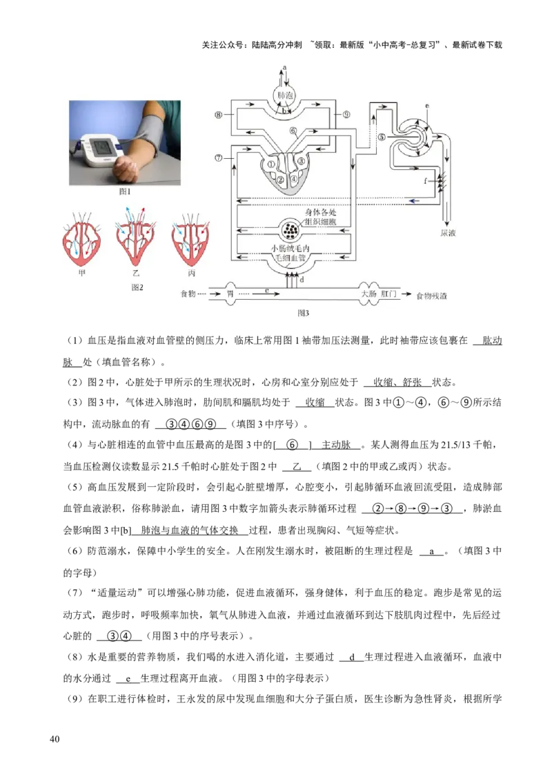 题型突破二过程图作答（解析版）_02中考总复习（2026版更新中）_08-生物-中考总复习_2024年中考复习资料_三轮复习_查漏补缺2024年中考生物复习冲刺过关（全国通用）_查补能力&middot;提升练