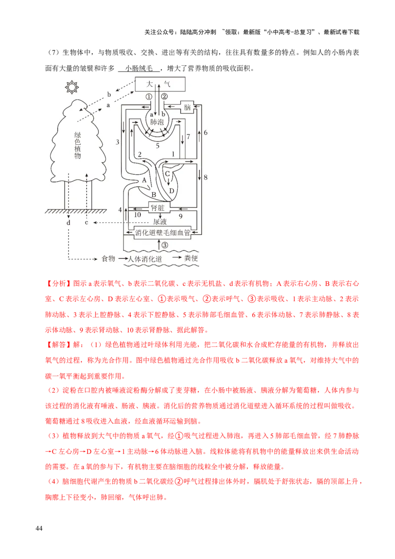 题型突破二过程图作答（解析版）_02中考总复习（2026版更新中）_08-生物-中考总复习_2024年中考复习资料_三轮复习_查漏补缺2024年中考生物复习冲刺过关（全国通用）_查补能力&middot;提升练