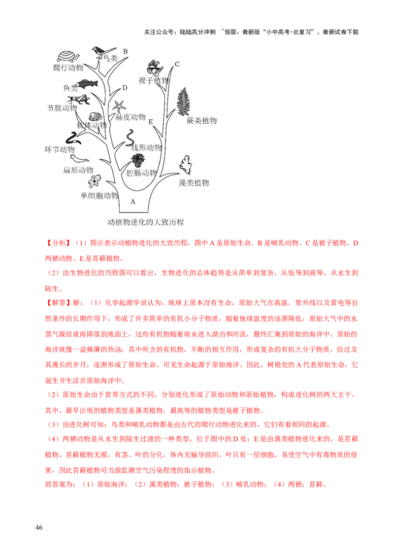 题型突破二过程图作答（解析版）_02中考总复习（2026版更新中）_08-生物-中考总复习_2024年中考复习资料_三轮复习_查漏补缺2024年中考生物复习冲刺过关（全国通用）_查补能力&middot;提升练