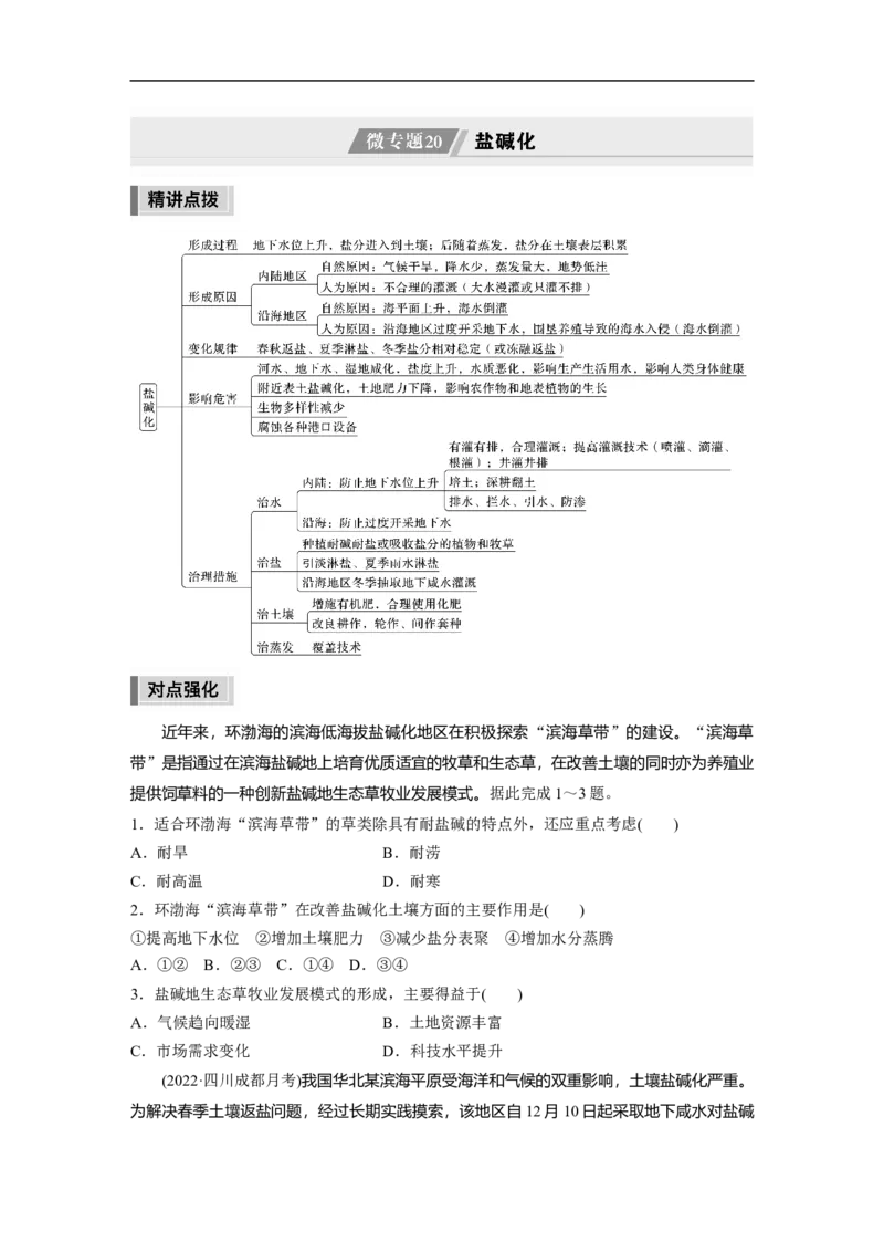 第1部分专题11微专题20　盐碱化_9.2025地理总复习_赠品通用版（老高考）复习资料_二轮复习_2023年高考地理二轮复习讲义+课件（全国版）_2023年高考地理二轮复习讲义（全国版）