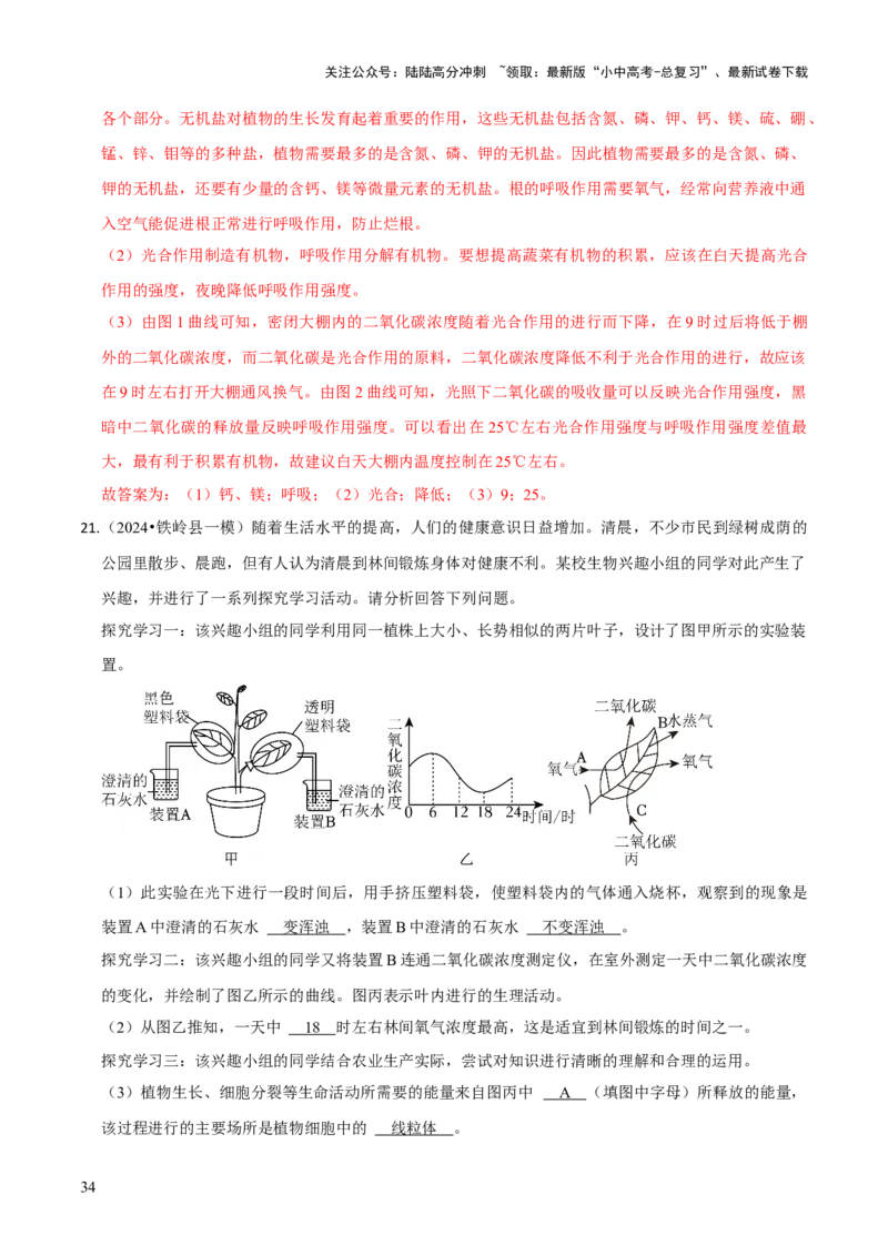题型突破三曲线图作答（解析版）_02中考总复习（2026版更新中）_08-生物-中考总复习_2024年中考复习资料_三轮复习_查漏补缺2024年中考生物复习冲刺过关（全国通用）_查补能力&middot;提升练