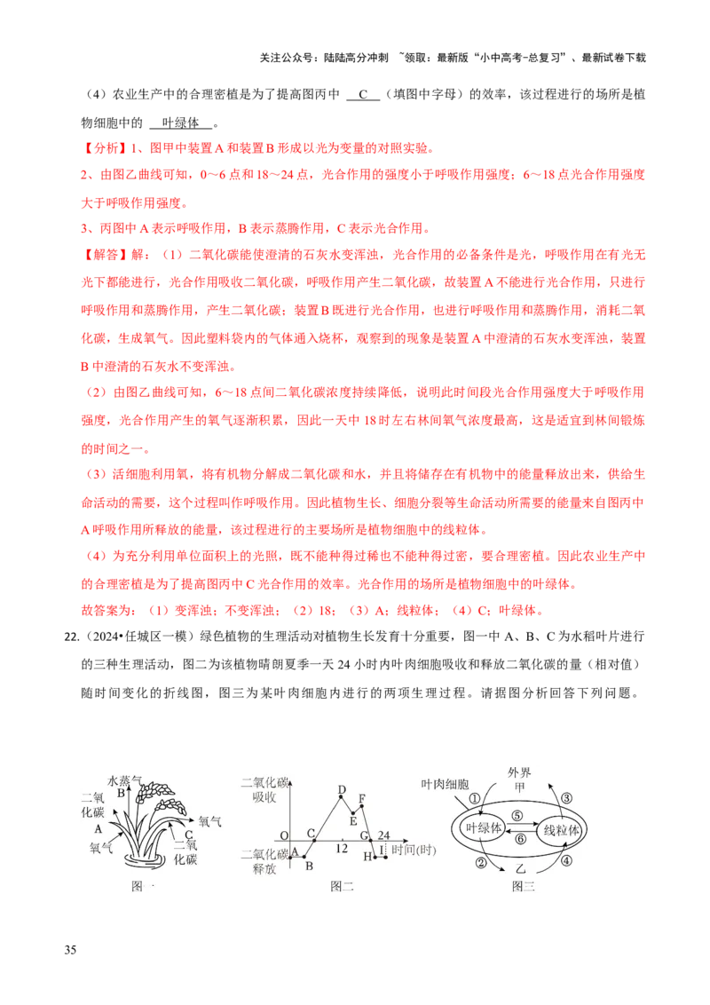 题型突破三曲线图作答（解析版）_02中考总复习（2026版更新中）_08-生物-中考总复习_2024年中考复习资料_三轮复习_查漏补缺2024年中考生物复习冲刺过关（全国通用）_查补能力&middot;提升练