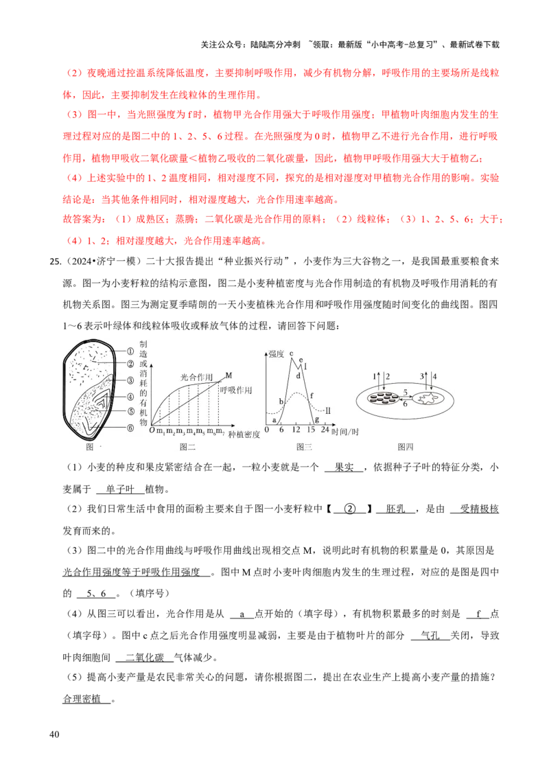 题型突破三曲线图作答（解析版）_02中考总复习（2026版更新中）_08-生物-中考总复习_2024年中考复习资料_三轮复习_查漏补缺2024年中考生物复习冲刺过关（全国通用）_查补能力&middot;提升练