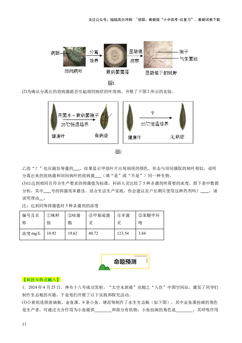 题型03实验探究（讲练）（原卷版）_02中考总复习（2026版更新中）_08-生物-中考总复习_2025中考复习资料_2025中考二轮课件ppt+讲义+练习生物_讲义+练习