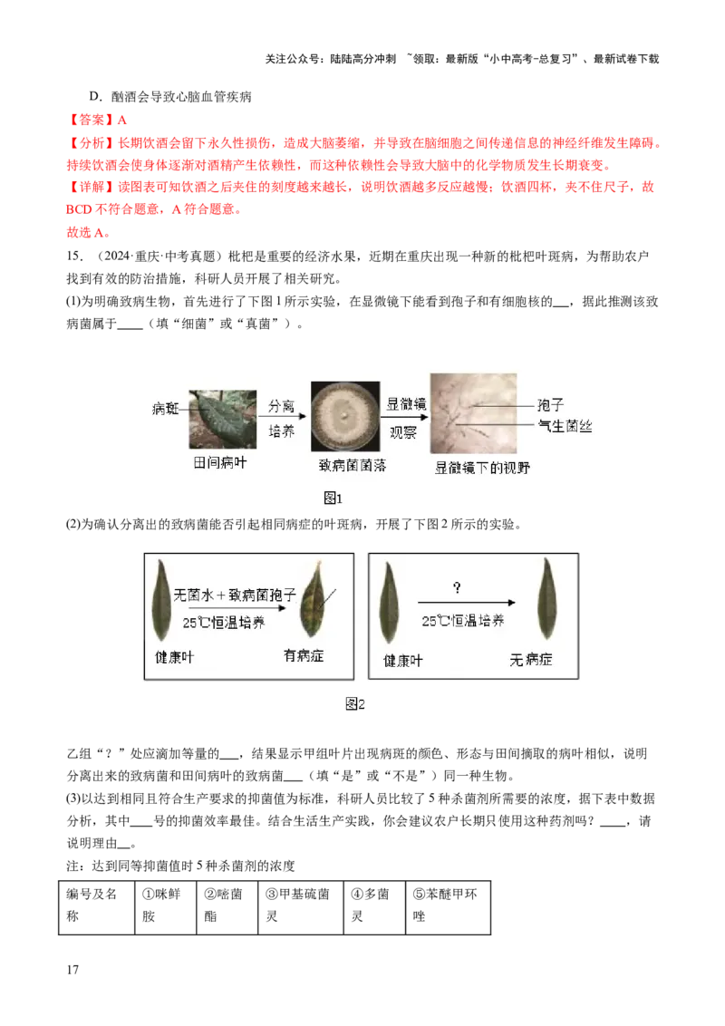 题型03实验探究（讲练）（解析版）_02中考总复习（2026版更新中）_08-生物-中考总复习_2025中考复习资料_2025中考二轮课件ppt+讲义+练习生物_讲义+练习
