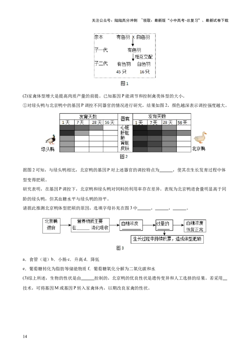 题型01读图理解（测试）（原卷版）_02中考总复习（2026版更新中）_08-生物-中考总复习_2025中考复习资料_2025中考二轮课件ppt+讲义+练习生物_测试