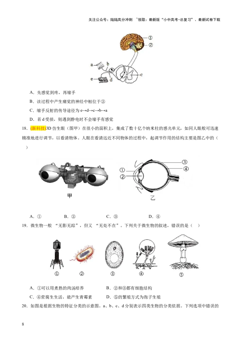 题型01读图理解（测试）（原卷版）_02中考总复习（2026版更新中）_08-生物-中考总复习_2025中考复习资料_2025中考二轮课件ppt+讲义+练习生物_测试
