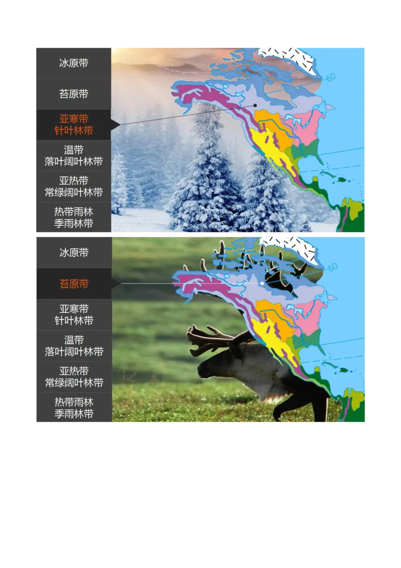 第18讲自然环境的地域差异性（讲义）（原卷版）_9.2025地理总复习_2025年新高考资料_一轮复习_2025年高考地理一轮复习讲练测（新教材新高考）