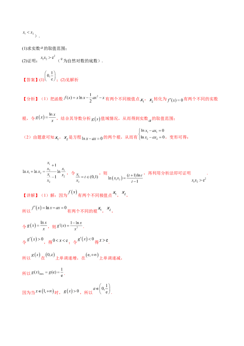 专题10导数的综合运用（解析版）_2.2025数学总复习_2024年新高考资料_2.2024二轮复习_2024年高三数学二轮优化提优专题训练