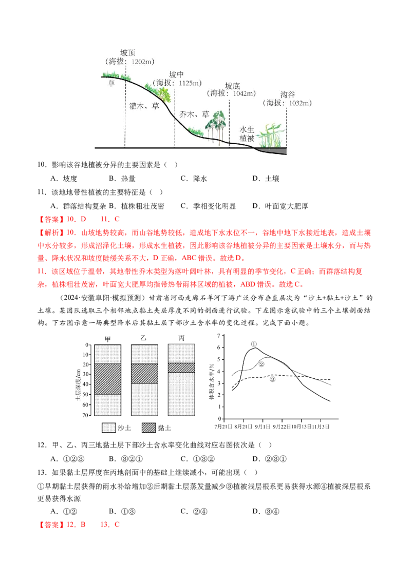 第16讲植被和土壤（练习）（解析版）_9.2025地理总复习_2025年新高考资料_一轮复习_2025年高考地理一轮复习讲练测（新教材新高考）