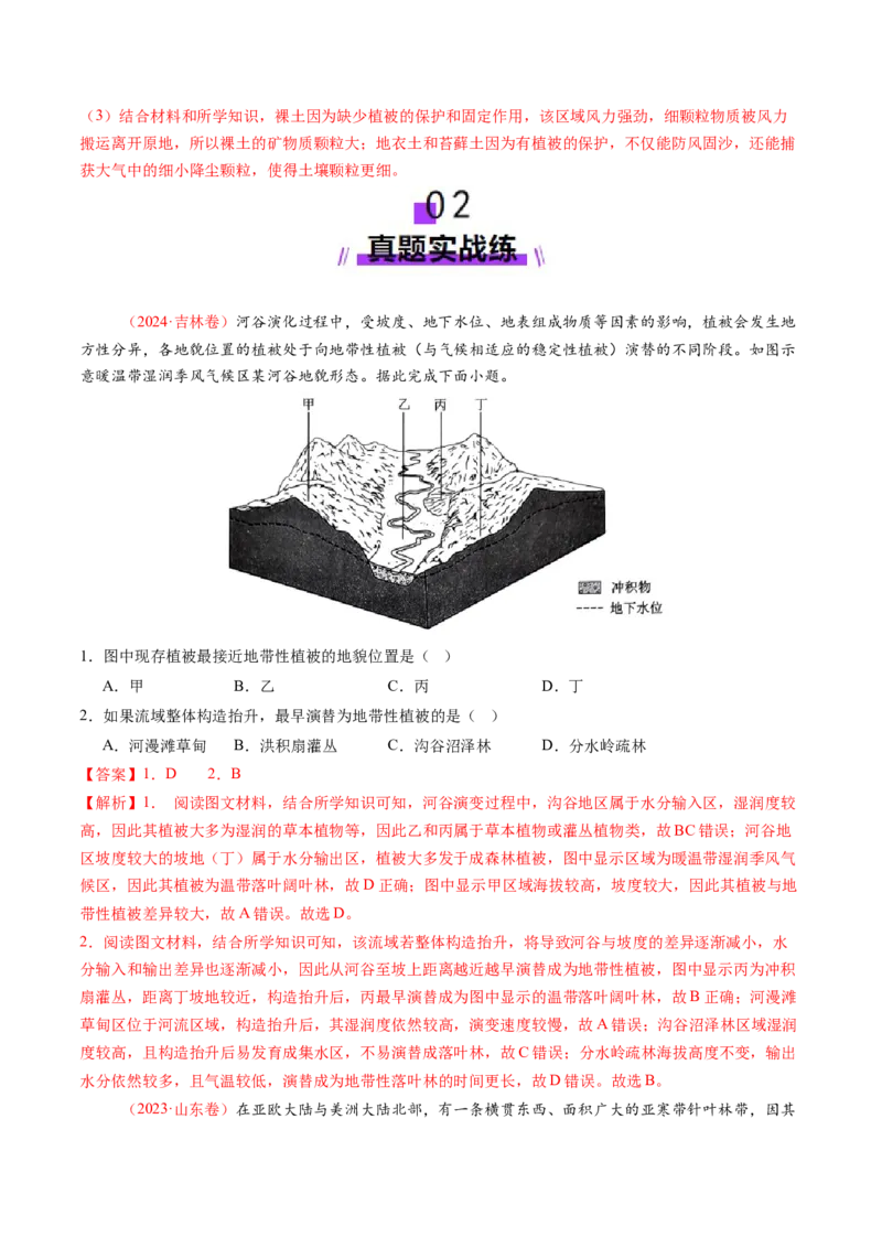 第16讲植被和土壤（练习）（解析版）_9.2025地理总复习_2025年新高考资料_一轮复习_2025年高考地理一轮复习讲练测（新教材新高考）