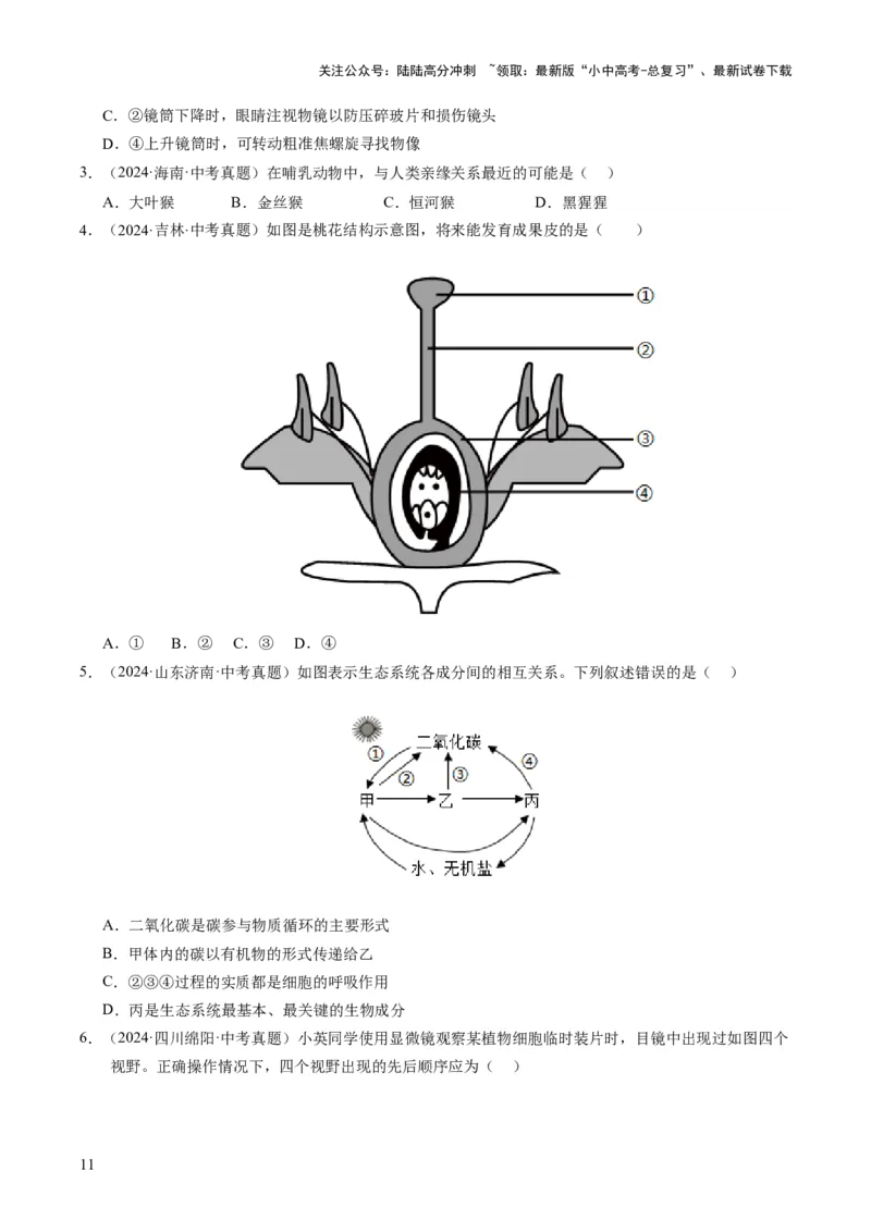题型技巧与培训（讲练）（原卷版）_02中考总复习（2026版更新中）_08-生物-中考总复习_2025中考复习资料_2025中考二轮课件ppt+讲义+练习生物_测试