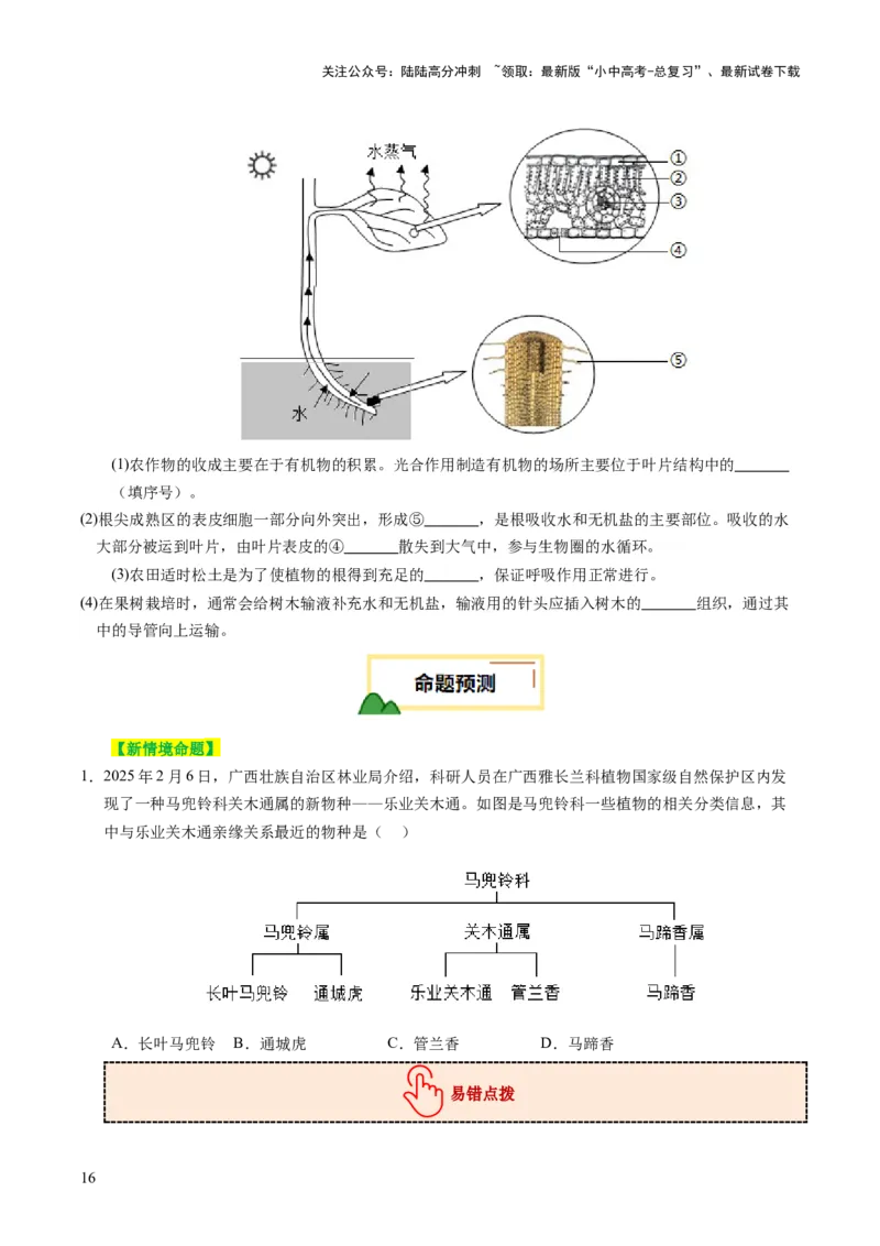 题型技巧与培训（讲练）（原卷版）_02中考总复习（2026版更新中）_08-生物-中考总复习_2025中考复习资料_2025中考二轮课件ppt+讲义+练习生物_测试