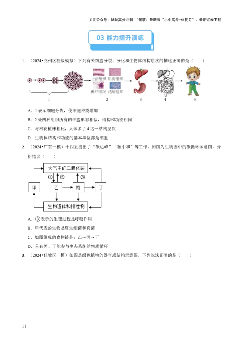 题型突破二过程图作答（原版卷）_02中考总复习（2026版更新中）_08-生物-中考总复习_2024年中考复习资料_三轮复习_查漏补缺2024年中考生物复习冲刺过关（全国通用）_查补能力&middot;提升练