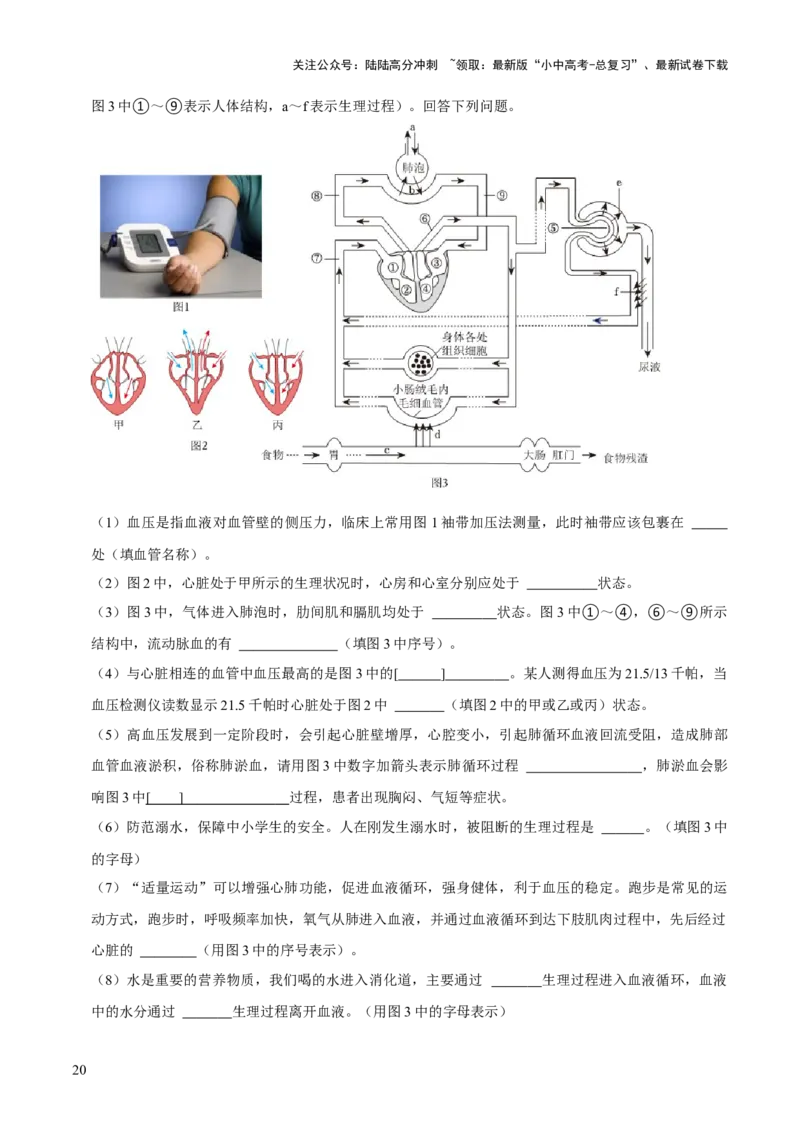 题型突破二过程图作答（原版卷）_02中考总复习（2026版更新中）_08-生物-中考总复习_2024年中考复习资料_三轮复习_查漏补缺2024年中考生物复习冲刺过关（全国通用）_查补能力&middot;提升练