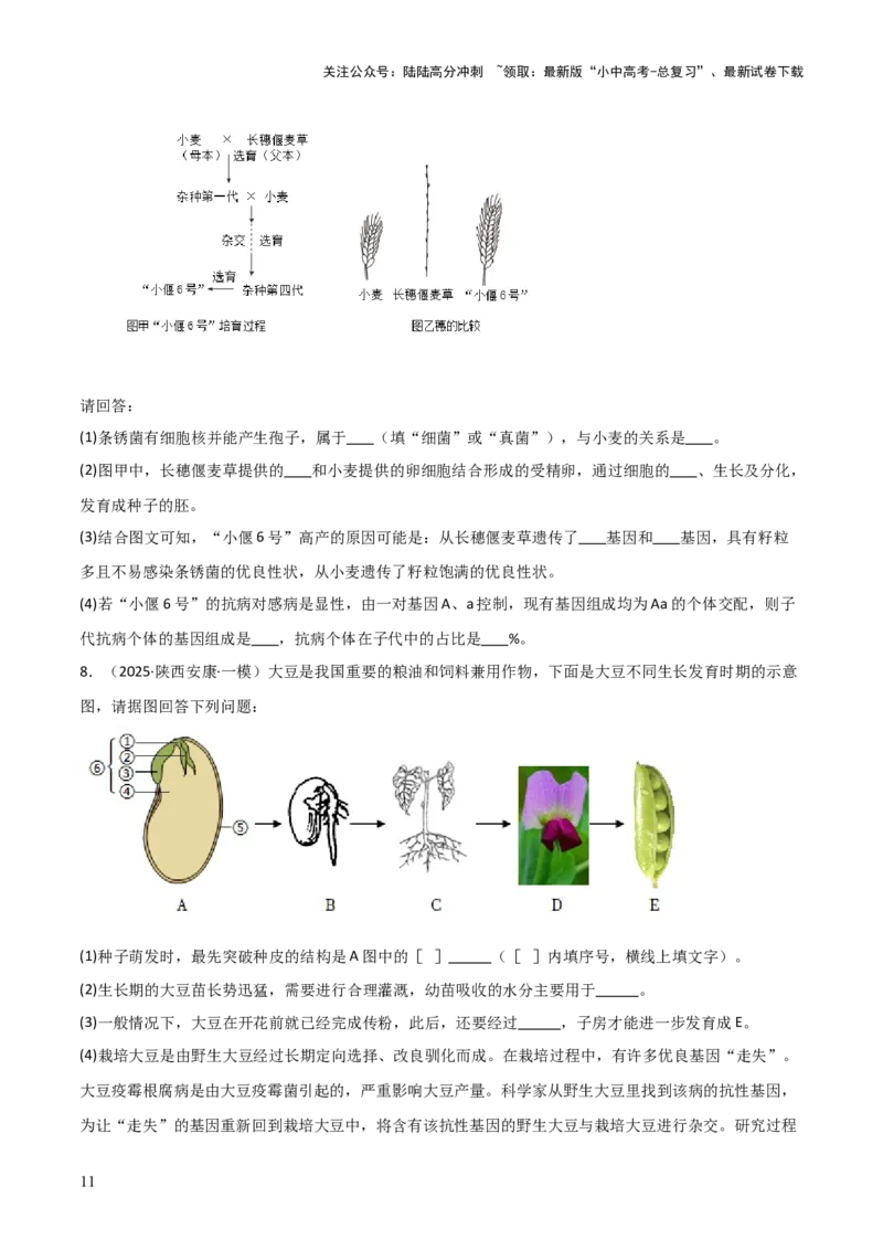题型06热点情景题解题技巧（原卷版）_02中考总复习（2026版更新中）_08-生物-中考总复习_2025中考复习资料_2025年中考生物答题方法模板