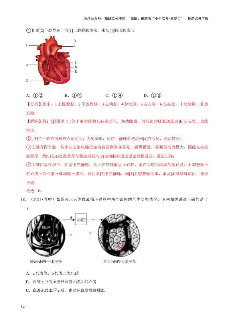 题型突破一结构图作答（解析版）_02中考总复习（2026版更新中）_08-生物-中考总复习_2024年中考复习资料_三轮复习_查漏补缺2024年中考生物复习冲刺过关（全国通用）_查补能力&middot;提升练